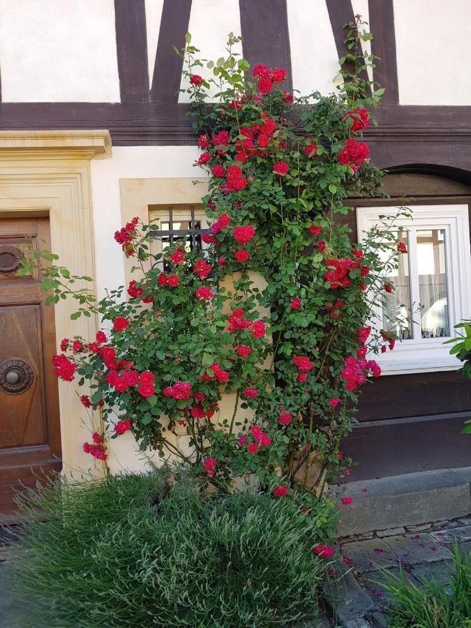 Fewo Niedere Muehlwiese Apartment Grossschoenau Exterior photo